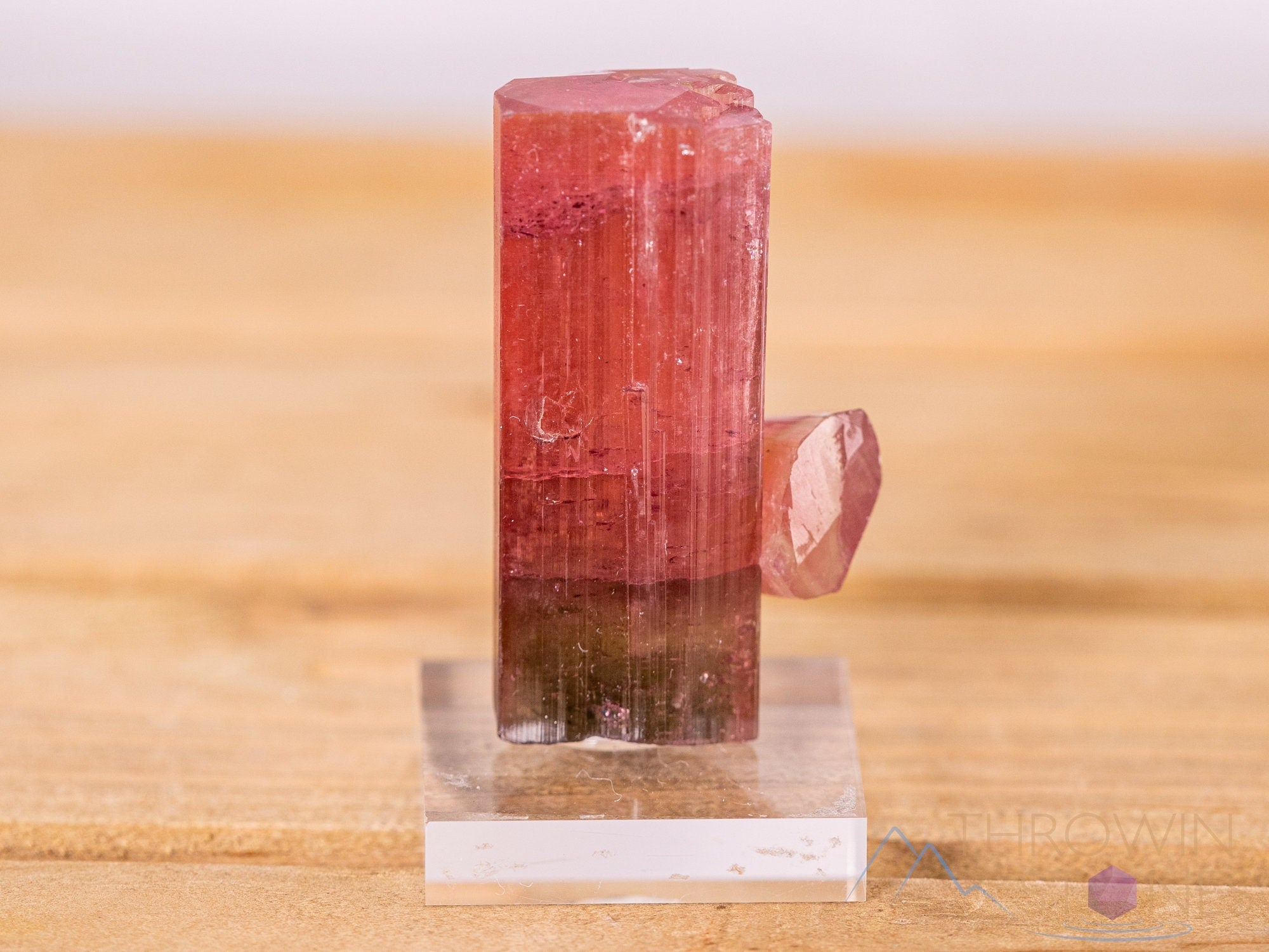 Natural Raw Elbaite Tourmaline Crystal - October Birthstone, Healing Gemstone for Jewelry Making & Energy Healing | Perfect for Necklaces, Rings & Spiritual Practices