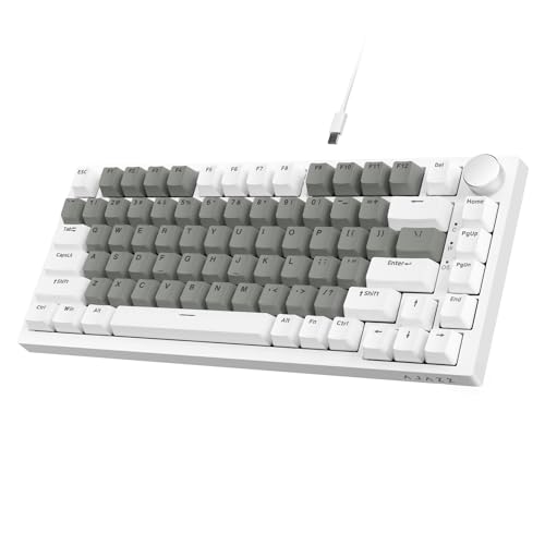 Grey White(HP Switch)