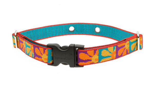DogWatch Replacement Receiver Collar 3/4 Inch - Compatible with Hidden Fence Systems - Durable Pet Training Collar for Dogs - Perfect for Backyard Security & Containment