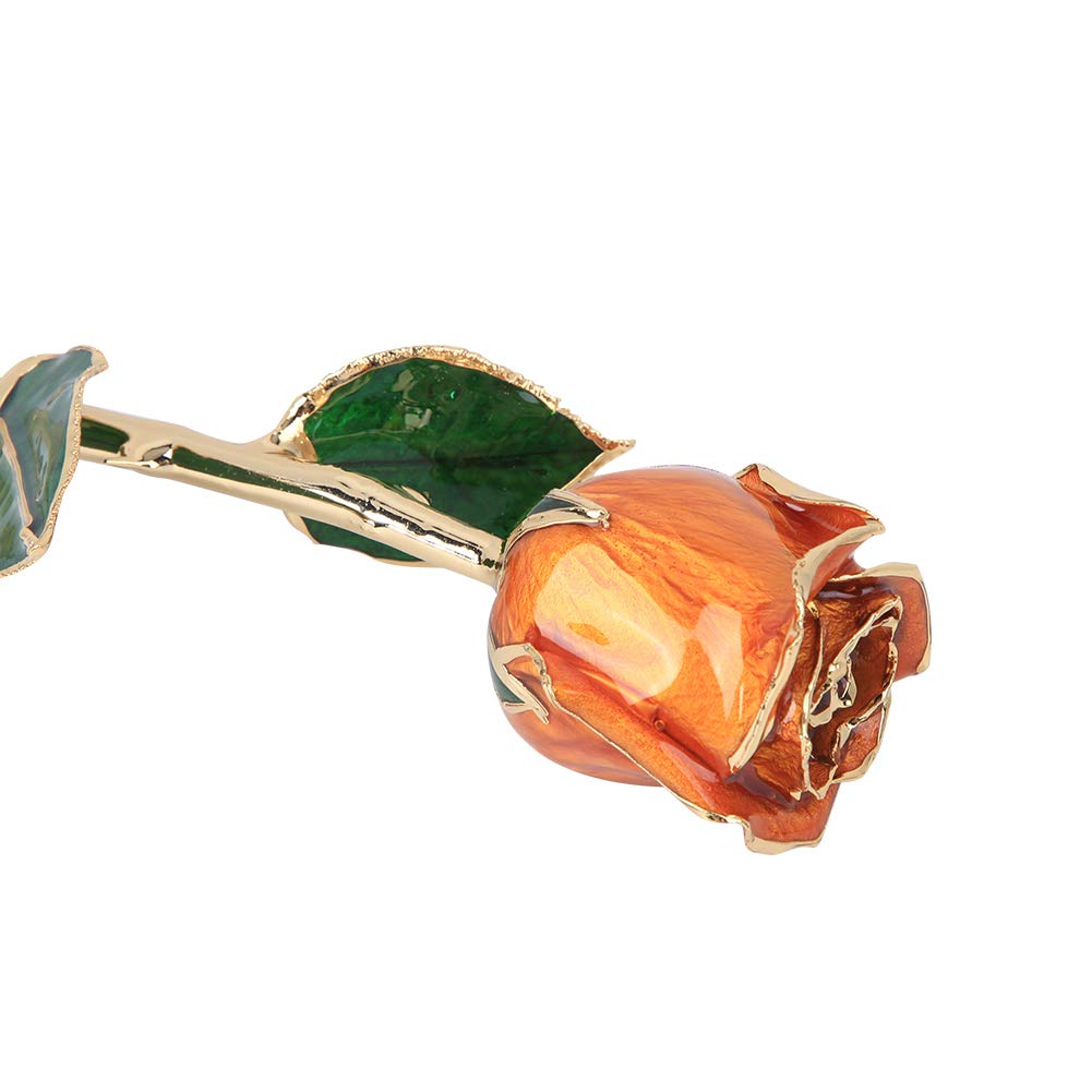 24K Gold Plated Real Rose - Luxury Dipped Flower Gift for Women, Wife, Mom, Grandma - Birthday, Anniversary, Wedding Present - Perfect for Romantic Occasions, Home Decor & Special Celebrations (Orange)