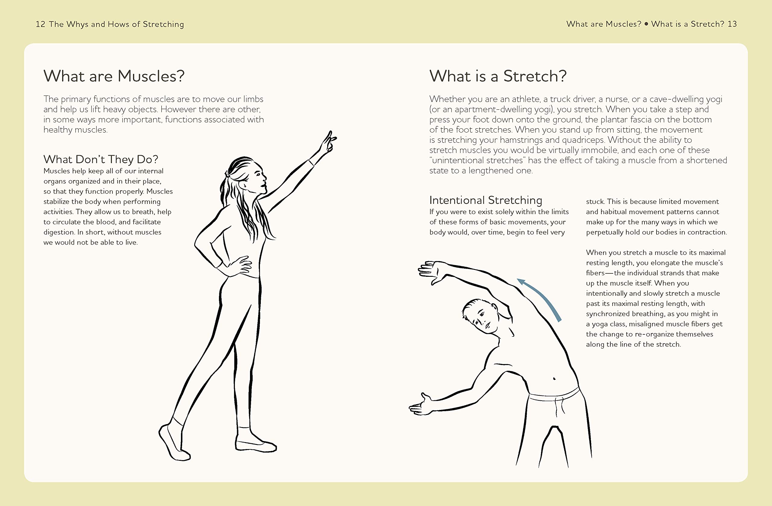 The Power of Stretching: Simple Daily Exercises for Flexibility & Wellness (Volume 2) - Perfect for Home Workouts, Office Breaks & Post-Workout Recovery