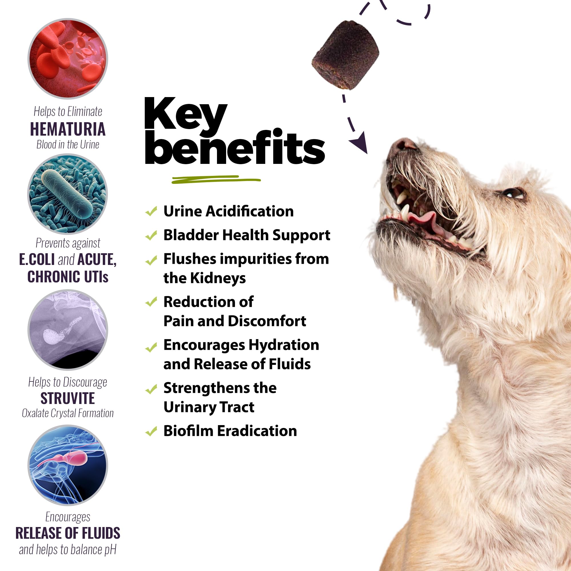 Natural Dog Urinary Tract Infection Treatment - Cranberry & Glucosamine Soft Chews for Bladder & Kidney Support | Chicken Flavor | Made in USA | 90 Count (3 Pack) | Supports Healthy Urination & Prevents UTIs for Dogs - Ideal for Senior Pets & Recovering Dogs