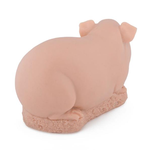 Professional Guinea Pig Practice Skin - 1 Pound Realistic Training Material for Veterinary Students & Tattoo Artists - Perfect for Surgical Practice & Ink Technique Training