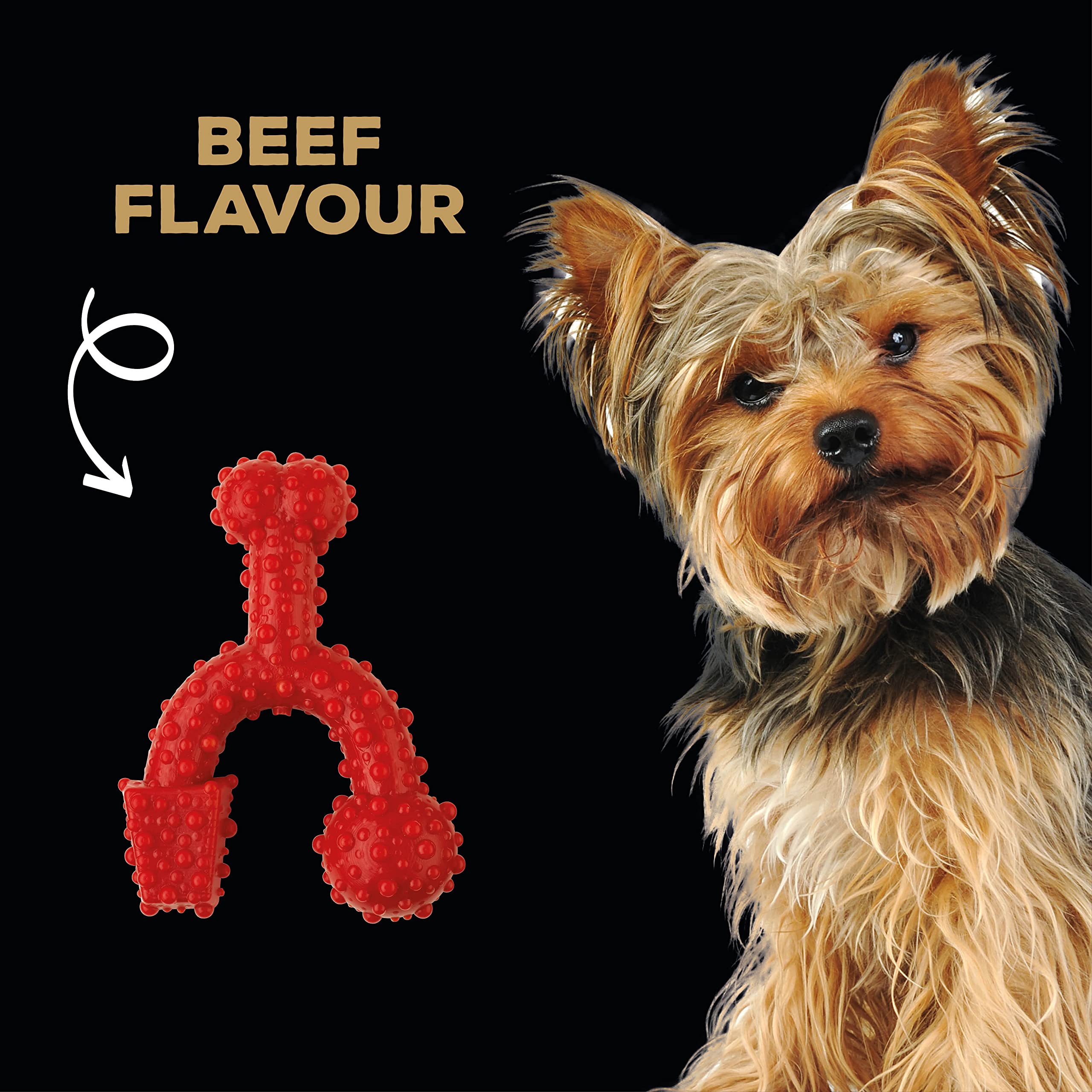TastyBone Beef Flavored Trio Dog Chew Toys - Long-Lasting Dental Chews for Small, Medium & Large Dogs - Perfect for Teething, Boredom Relief & Playtime