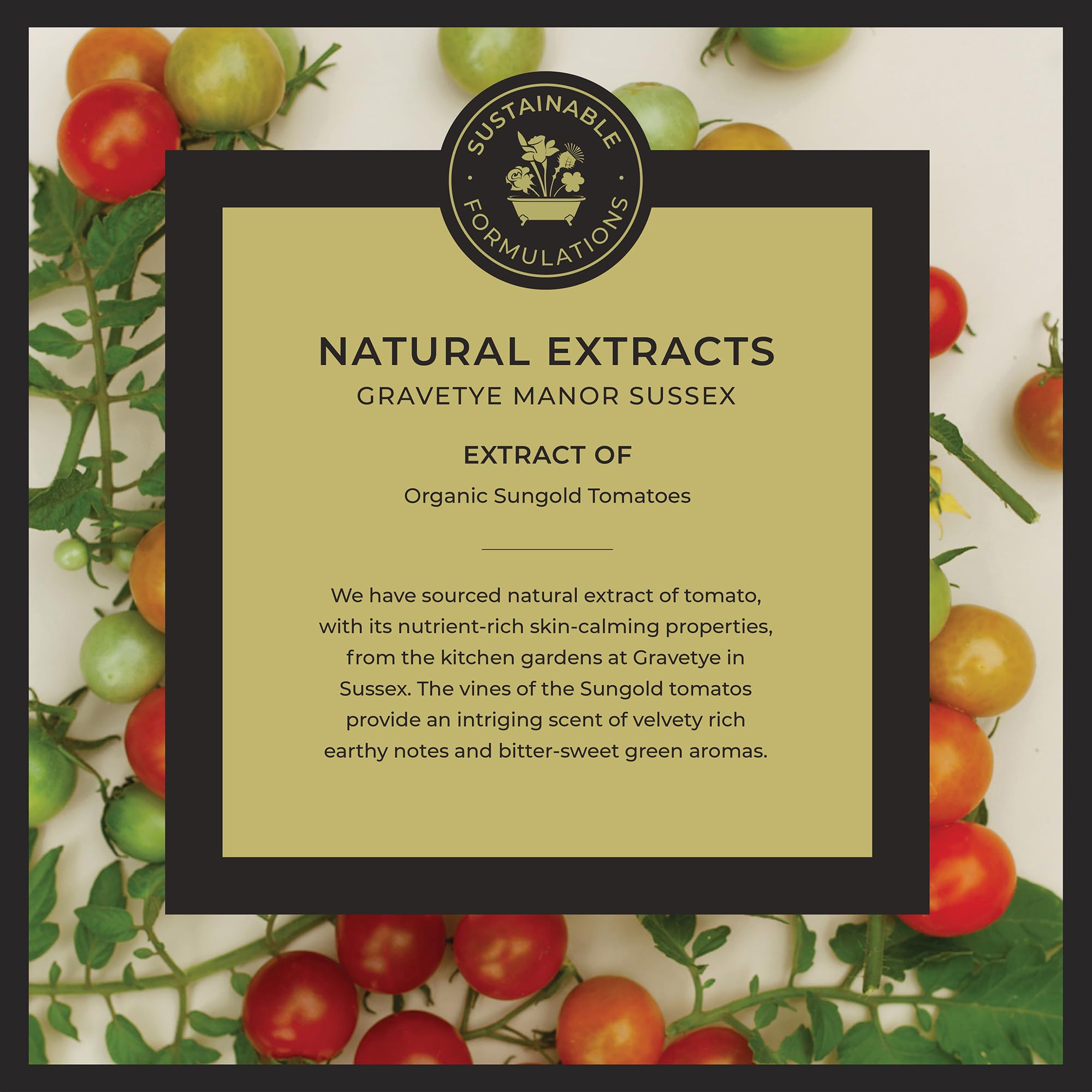 Luxury Organic Vegan Hand Wash Liquid Soap for Men & Women - Greenhouse Scent 250ml | UK Made, Perfumed, Cruelty-Free | Perfect for Bathroom, Kitchen & Gift Giving