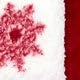 Cabernet Snowflake