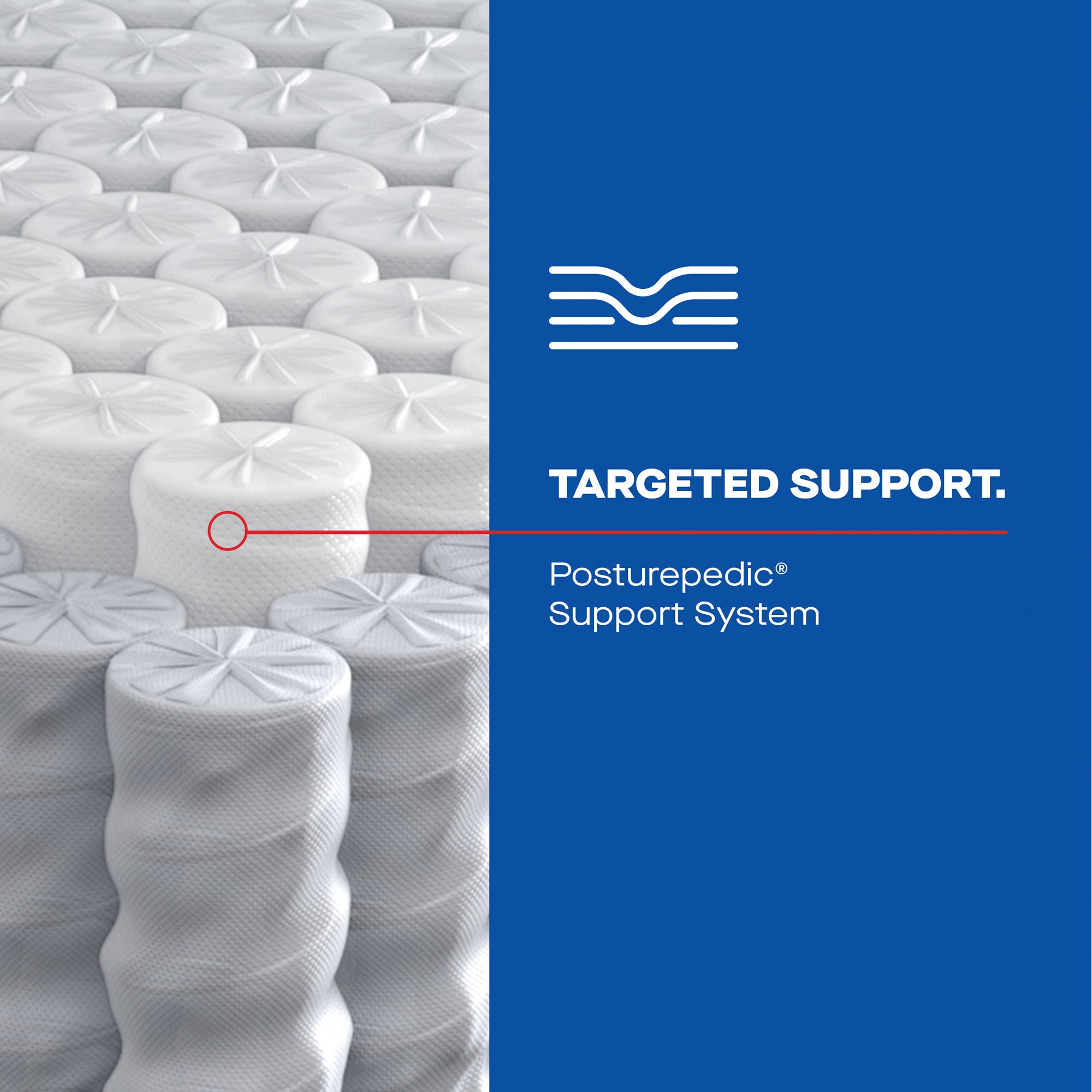 Sealy Posturepedic Dallas Firm Hybrid Mattress - Queen Size, Medium-Firm Support for Back Pain Relief - Perfect for Side, Back & Stomach Sleepers - Bedroom & Guest Room Essentials