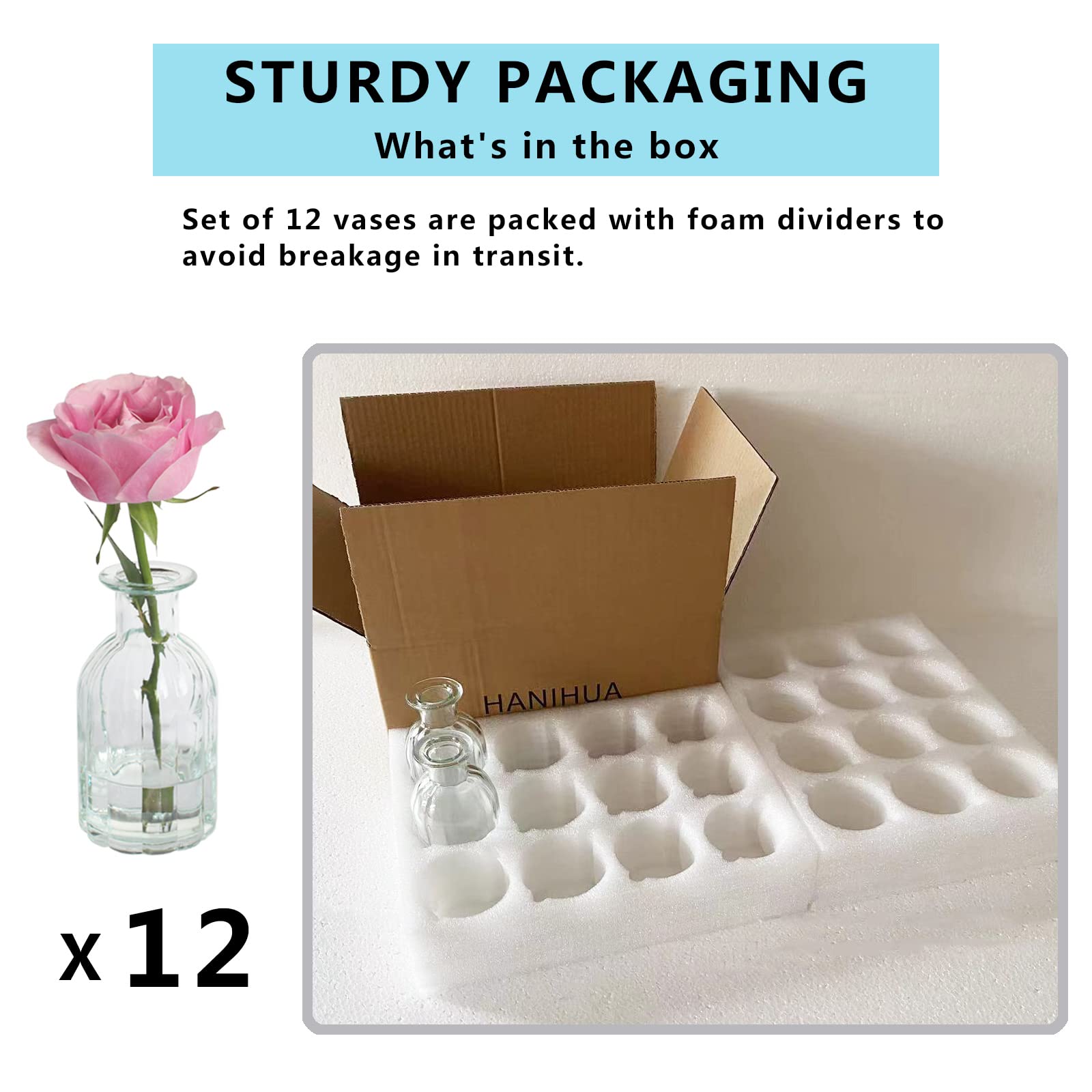 12-Piece Clear Glass Bud Vases Set - 2.85