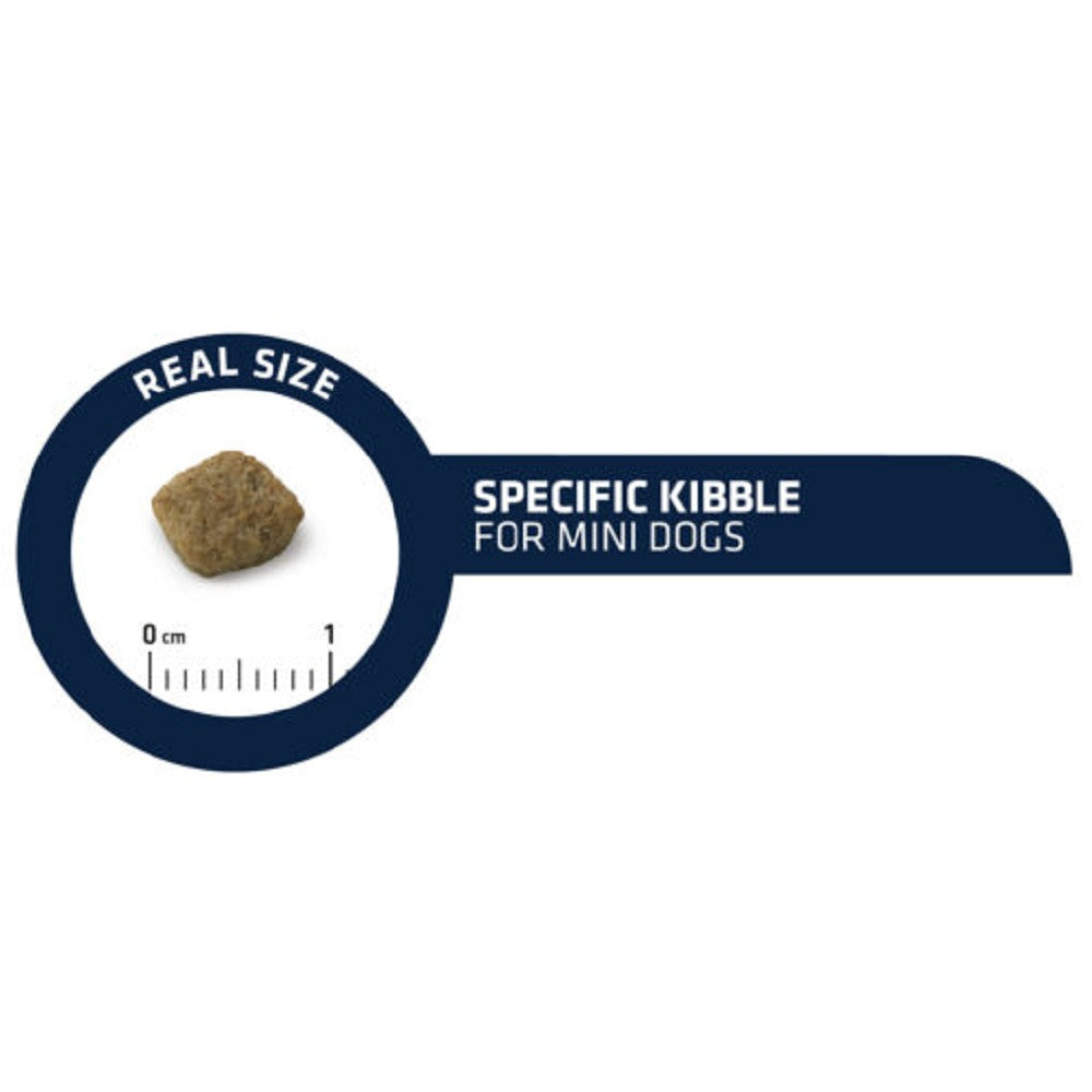 Active Defense Chicken & Rice Mini Bites for Senior Dogs - High Protein Dry Dog Food for Small Breeds - Perfect for Older Dogs with Sensitive Stomachs & Joint Support