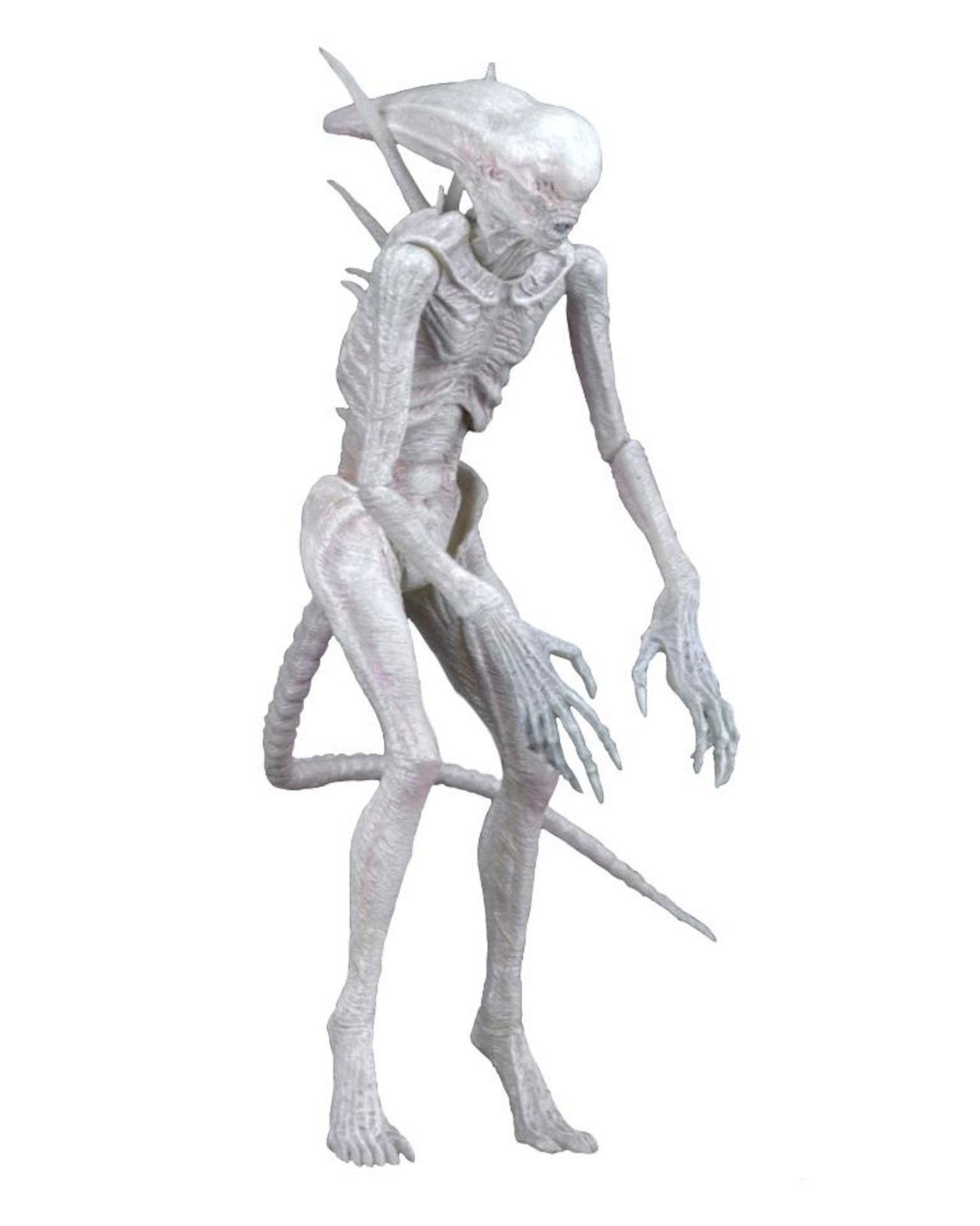 NECA Alien: Covenant 7-Inch Scale Neomorph Action Figure - Highly Detailed Collectible for Movie Fans & Sci-Fi Enthusiasts - Perfect for Display, Photography & Diorama Scenes