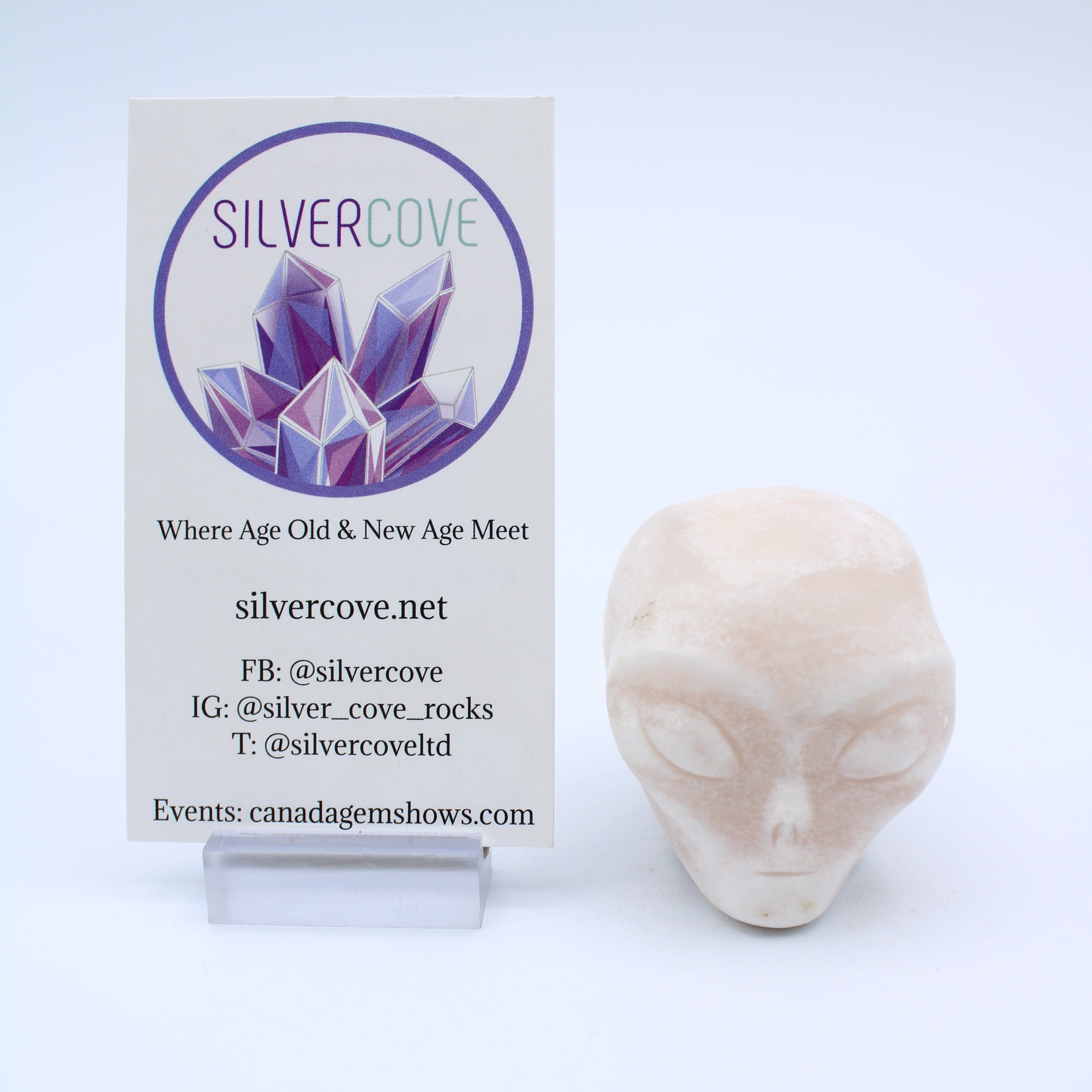 Calcite Alien Head Carving - Unique Home Decor & Collectible for Sci-Fi Fans | Perfect for Bookshelf Display, Gift for UFO Enthusiasts