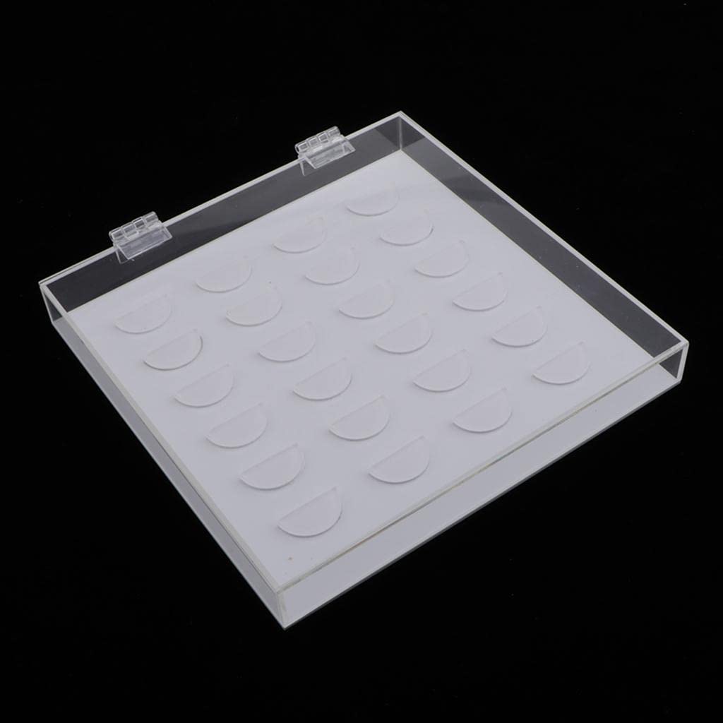 LOSA Clear Acrylic False Eyelash Storage Box - 24 Compartment Eyelash Organizer Case with Lid - Perfect for Lash Artists, Salons & Makeup Enthusiasts - Keep Lashes Clean & Organized at Home or On-the-Go