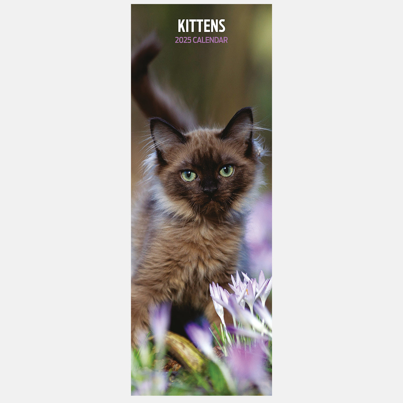 2025 Kittens Slim Wall Calendar - Cute & Minimalist Cat Lovers Planner for Home, Office & School Organization