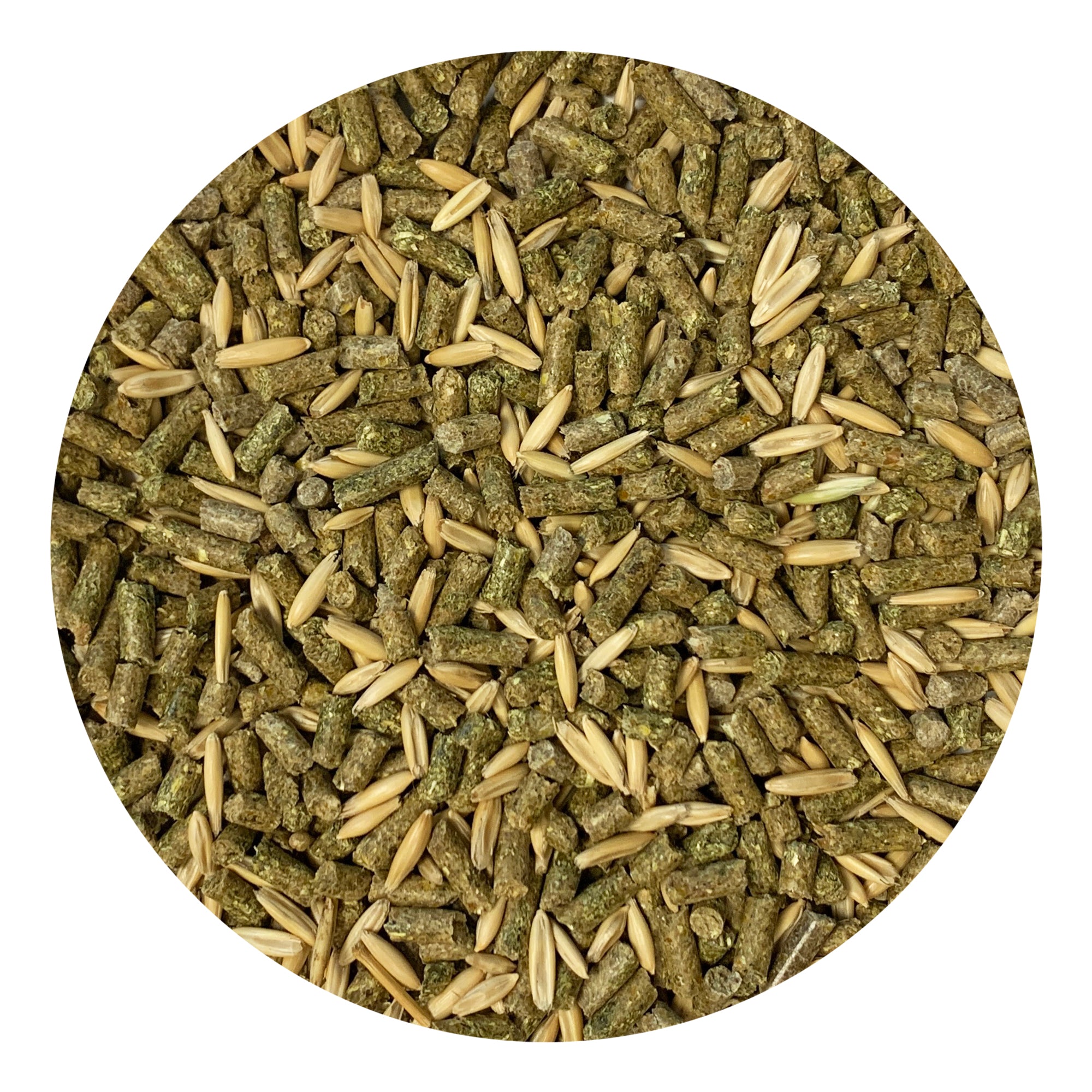 Premium Degu Food with Whole Oats - Healthy Natural Diet for Pet Degus - Perfect for Cage Feeding & Nutritional Supplement