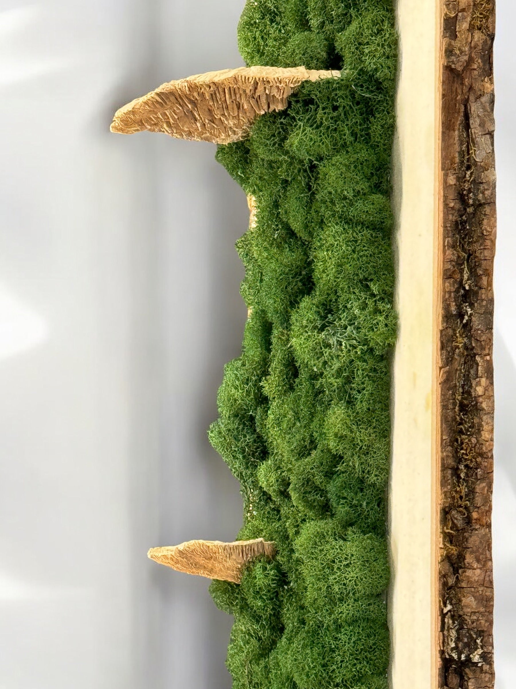 Natural Bark Edge Moss Wall Art - Handmade Eco-Friendly Home Decor for Living Room, Bedroom & Office | Unique Botanical Decor for Modern & Rustic Interiors