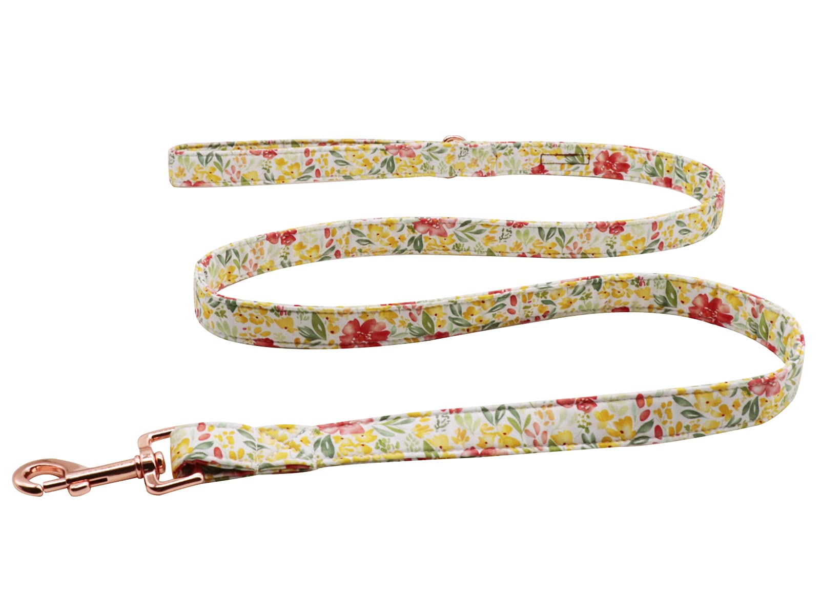 Lionet Paws Adjustable Dog Leash & Matching Collar Set for Small, Medium, Large Dogs - Perfect for Walking, Training, and Outdoor Adventures