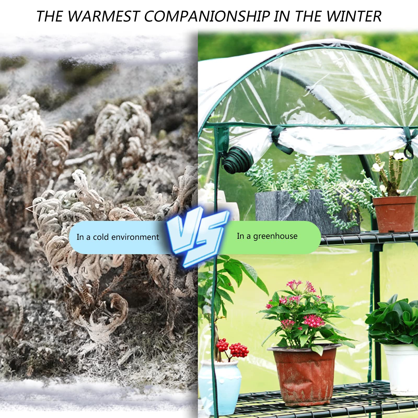 Portable Greenhouse Tent for Gardening - 3-Layer Transparent Grow House for Flowers, Plants & Backyard | Indoor & Outdoor Use