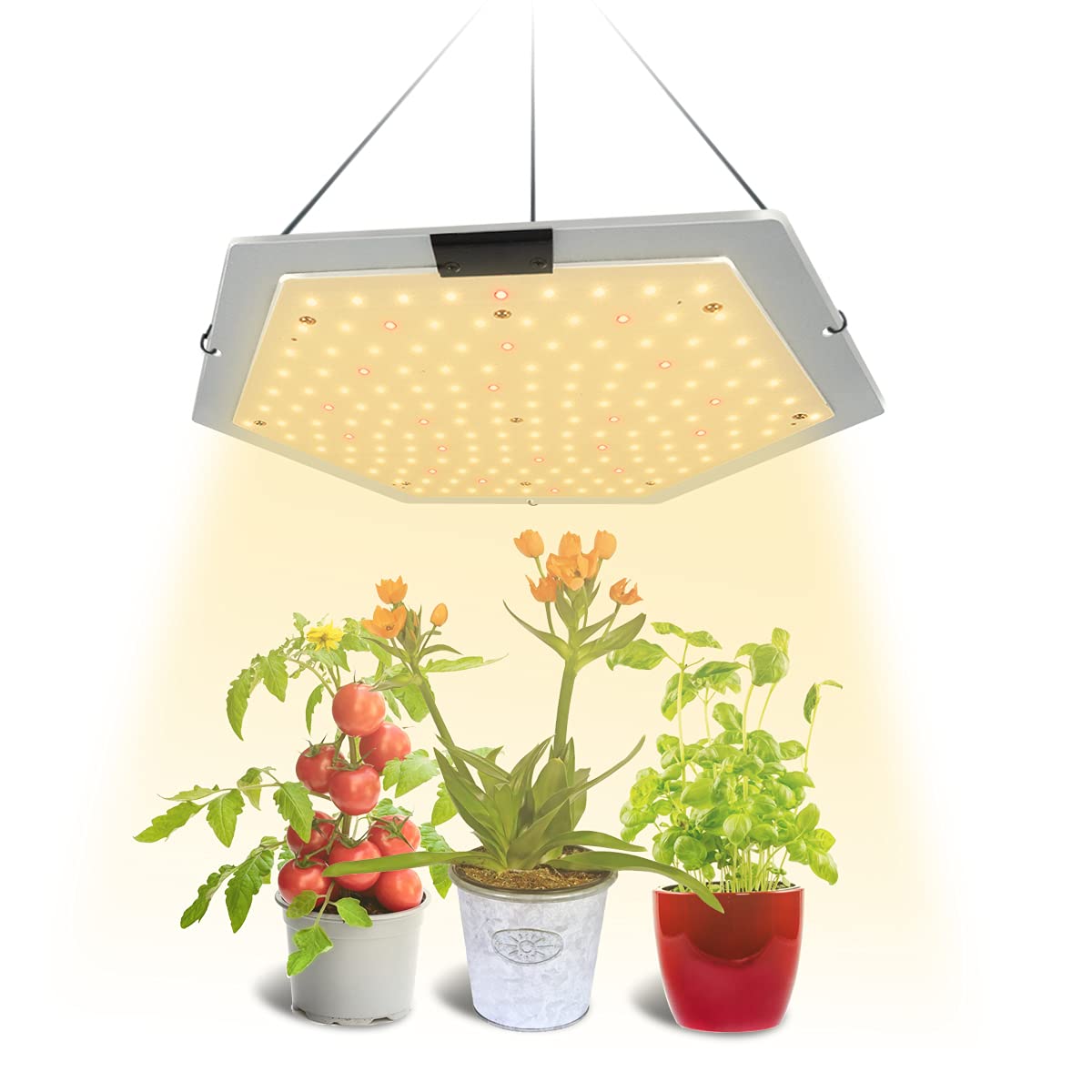 Best LED Grow Lights Full Spectrum 3500K - Hanging Panel Plant Light for Indoor Plants, Seedlings, Succulents & Vegetables - Perfect for Hydroponics, Greenhouses & Home Gardening
