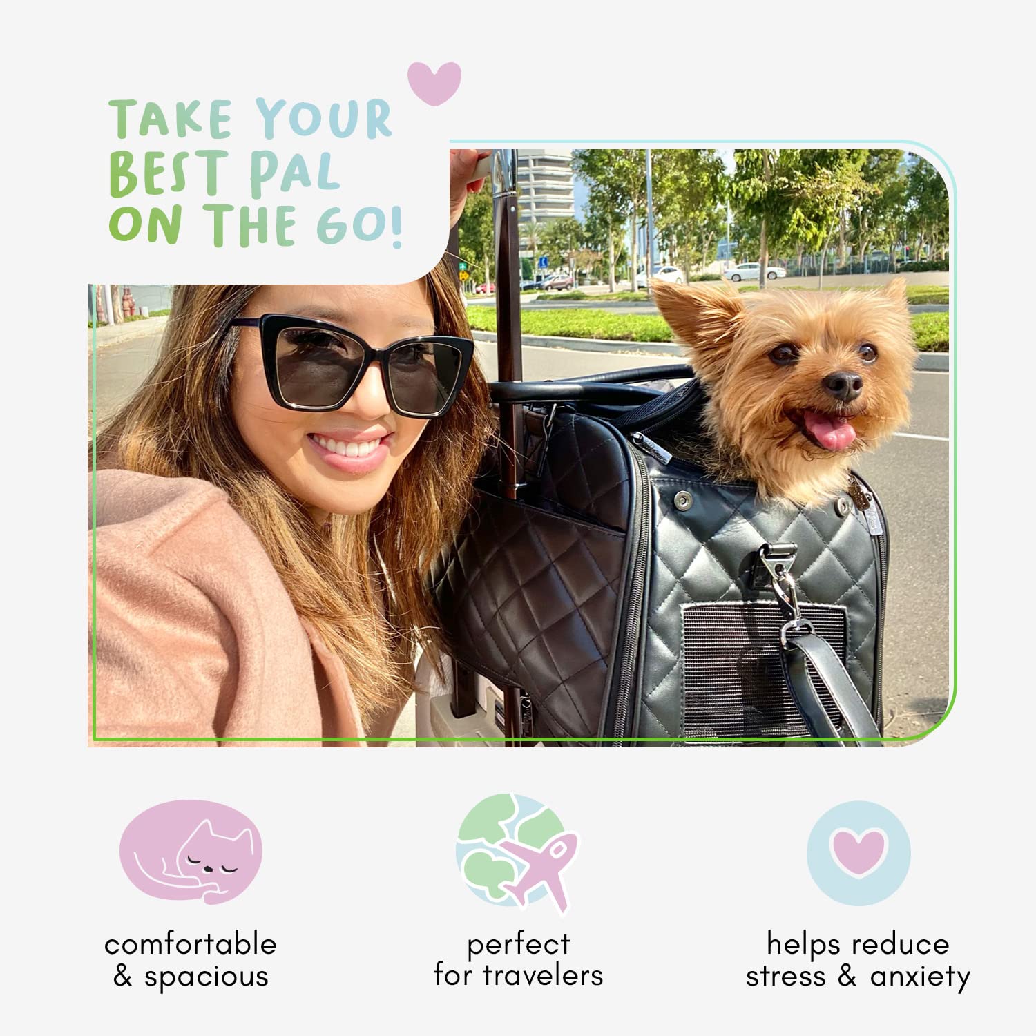 Best Pet Travel Carrier Bag for Dogs & Cats - Lightweight, Airline Approved, Durable & Comfortable - Perfect for Air Travel, Road Trips & Vet Visits
