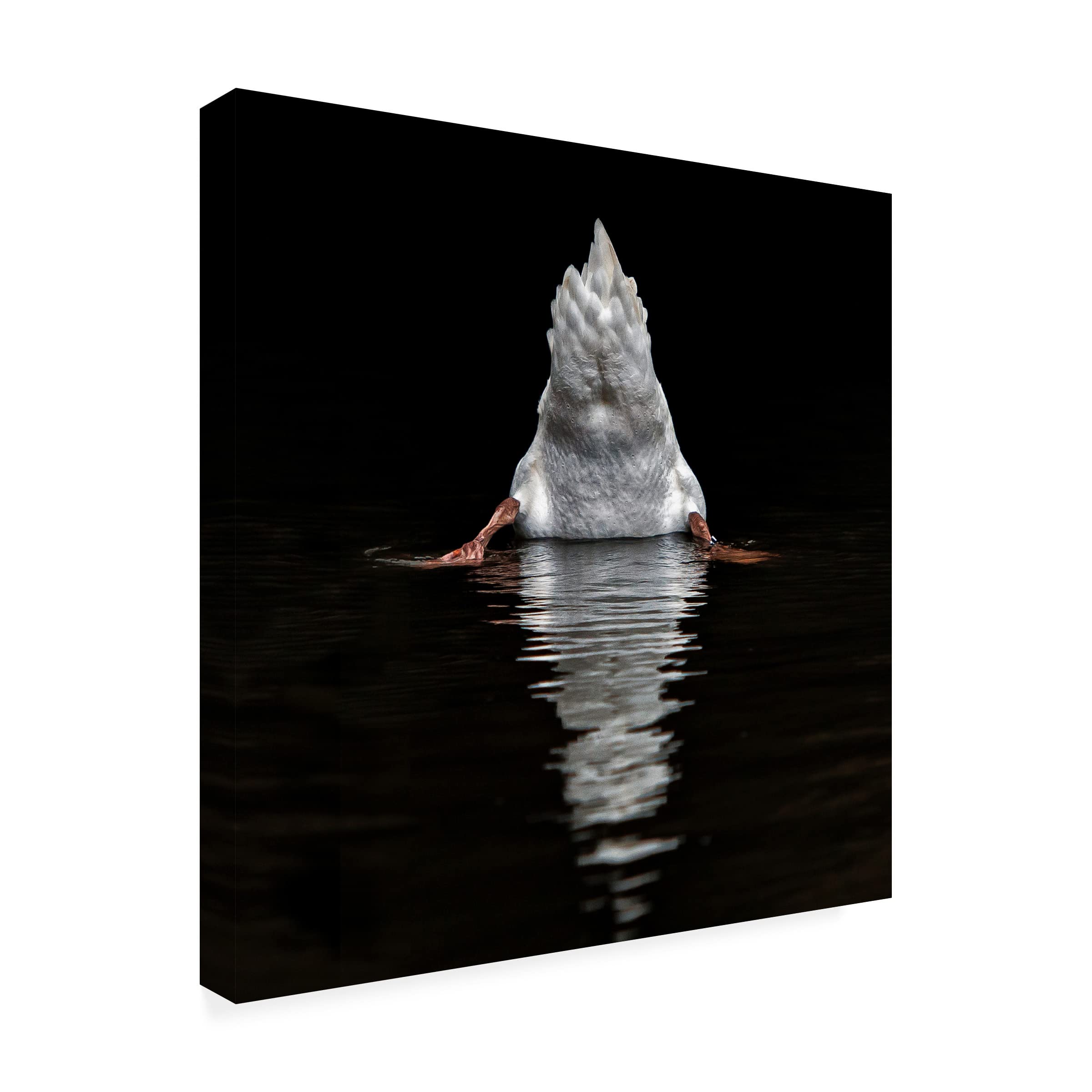 Piet Flour 'I Don't Like Photographers' Canvas Wall Art Print - Modern Home Decor for Living Room, Bedroom & Office