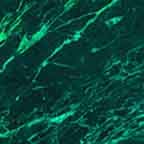 Green Marble