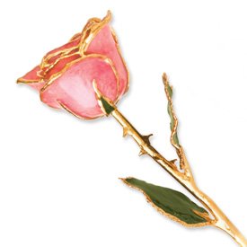 24K Gold Dipped Long Stem Pink Real Rose in Elegant Gift Box - Perfect for Valentine's Day, Anniversary, Wedding, and Romantic Surprise Gifts