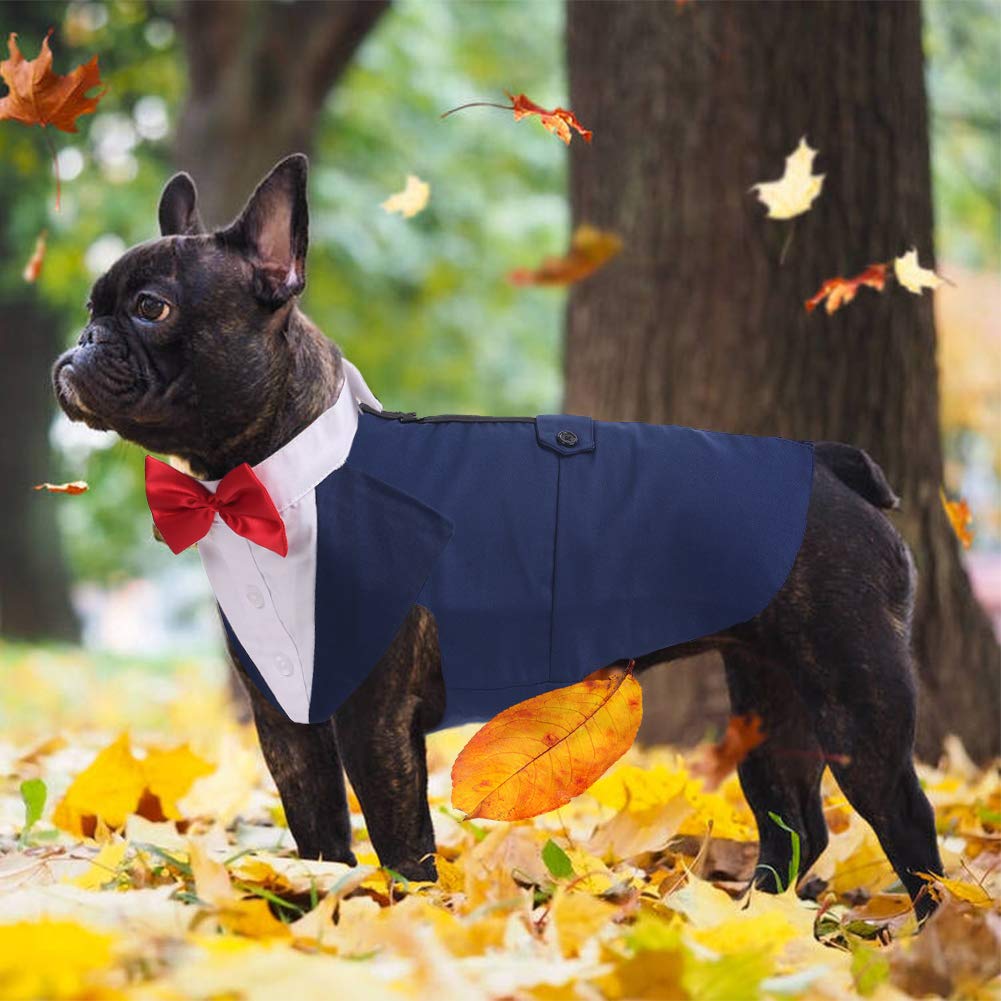QBLEEV Dog Tuxedo for Large Dogs - Formal Dog Suit with Bow Tie & Bandana Set | Wedding, Halloween, Christmas & Birthday Party Costume | Blue | Perfect for Special Occasions & Cosplay Events