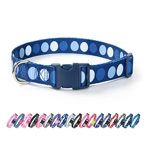 A-Blue Dots