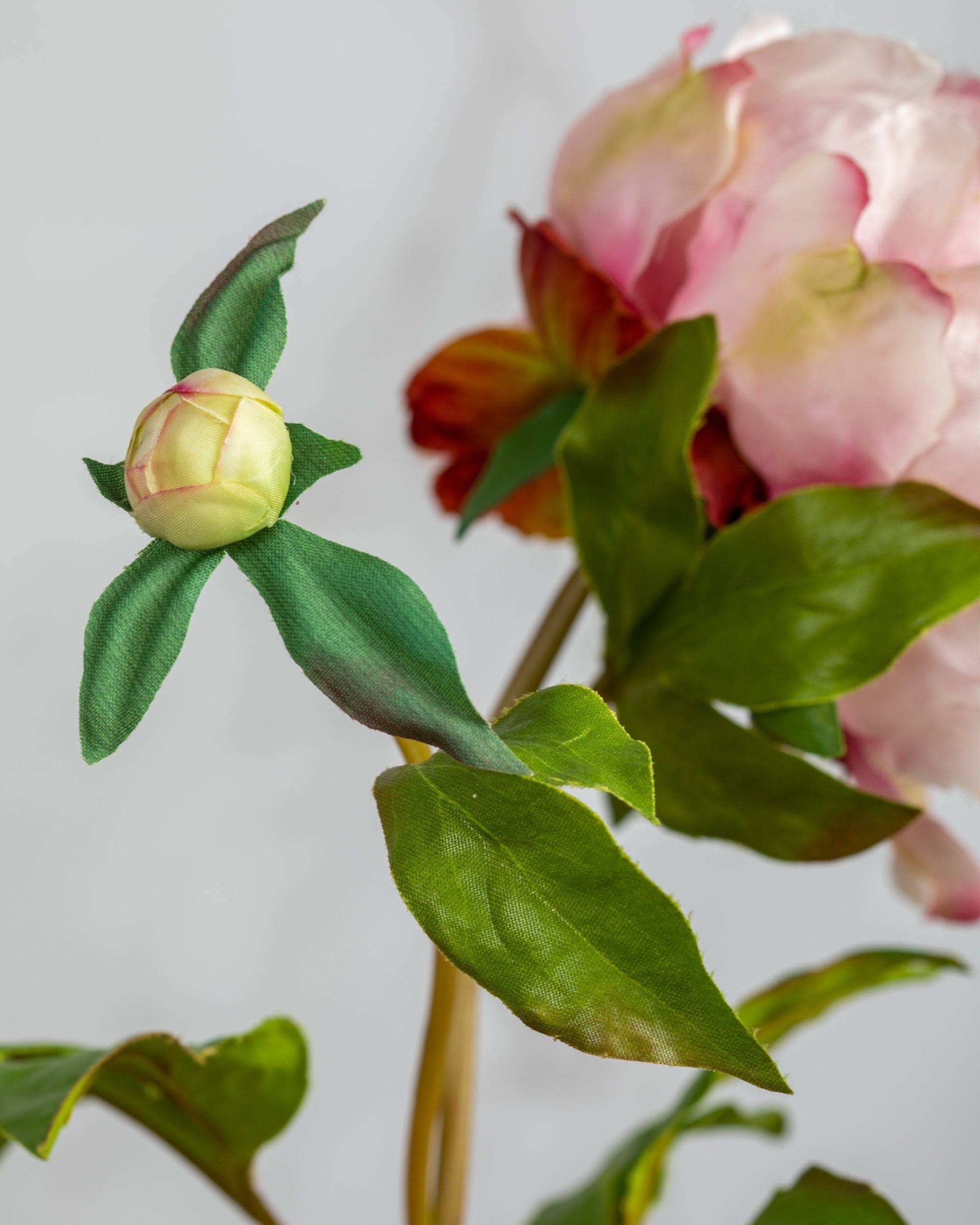 Artificial Pink Peony Flowers - 19.5