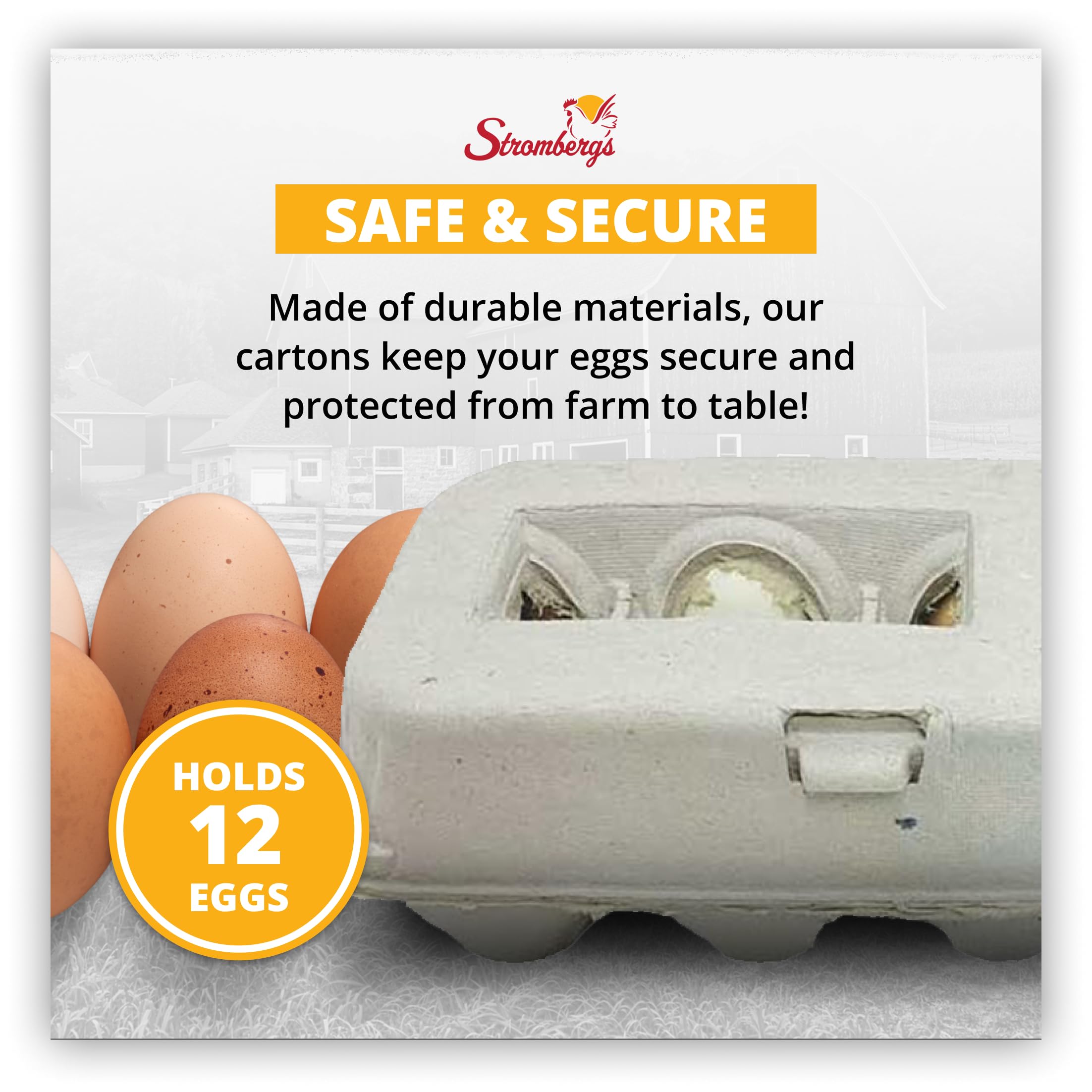 Stromberg's Large Blank Egg Cartons – Bulk Pack of 250 for Large Eggs | Custom Branding, Secure Egg Storage & Stackable Design | Perfect for Farmers Markets, Egg Producers & Food Businesses