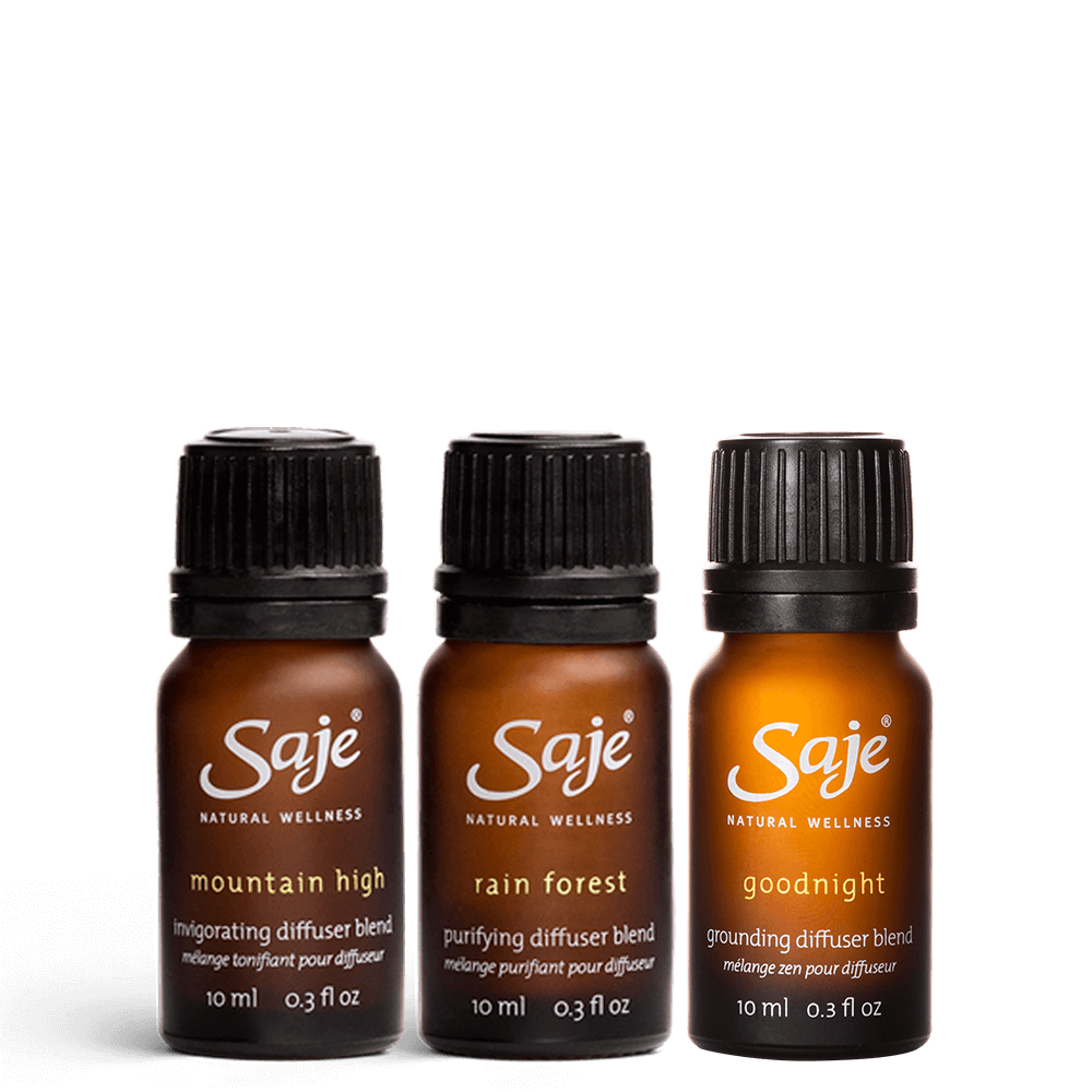 Into the Woods Forest Retreat Diffuser Blend Trio - Aromatherapy Essential Oils for Relaxation & Stress Relief | Perfect for Home, Spa & Office Use