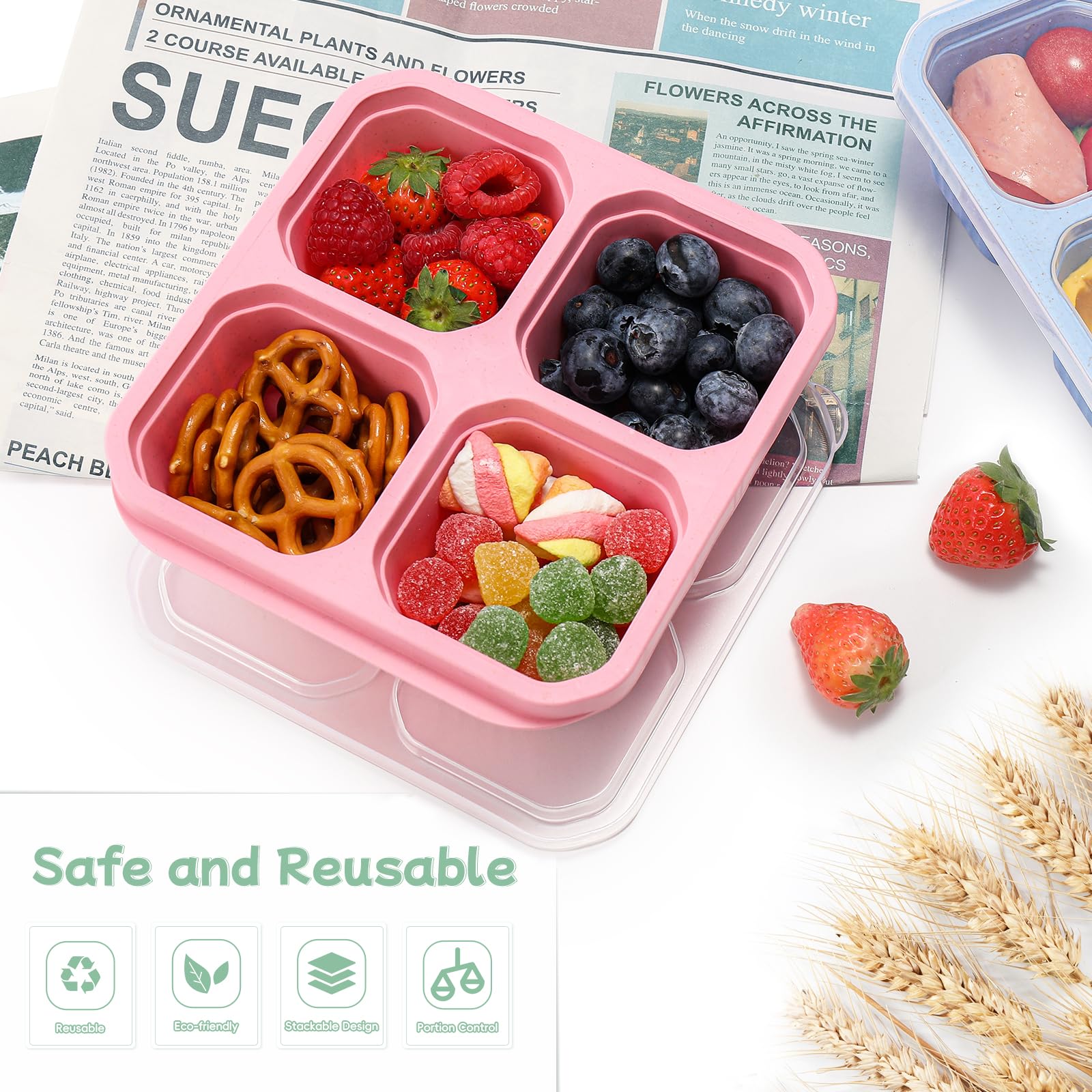 DIMBRAH 4-Pack Reusable Snack Containers with 4 Compartments - Bento Lunch Box for Adults & Kids - Leakproof Food Storage Containers for Work, School, Travel & Picnics - Includes Forks (Perfect for Meal Prep & On-the-Go Snacks)