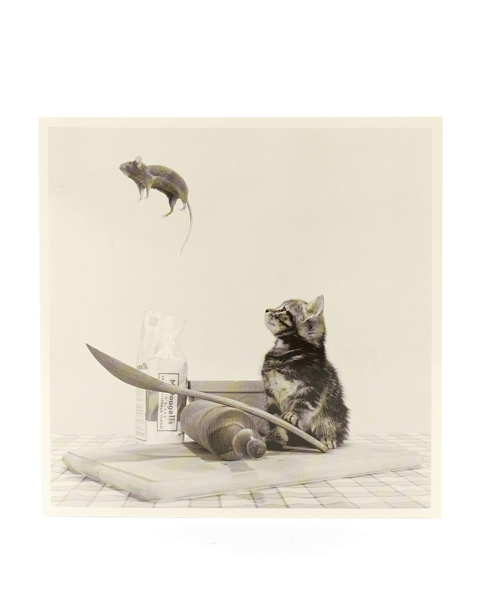 Funny Cat and Mouse Birthday Card - Blank Inside Greeting Card for Any Occasion - Humorous Kitten Themed Card - Perfect for Birthdays, Anniversaries & Special Events