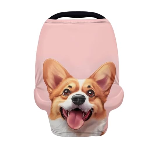 Corgi