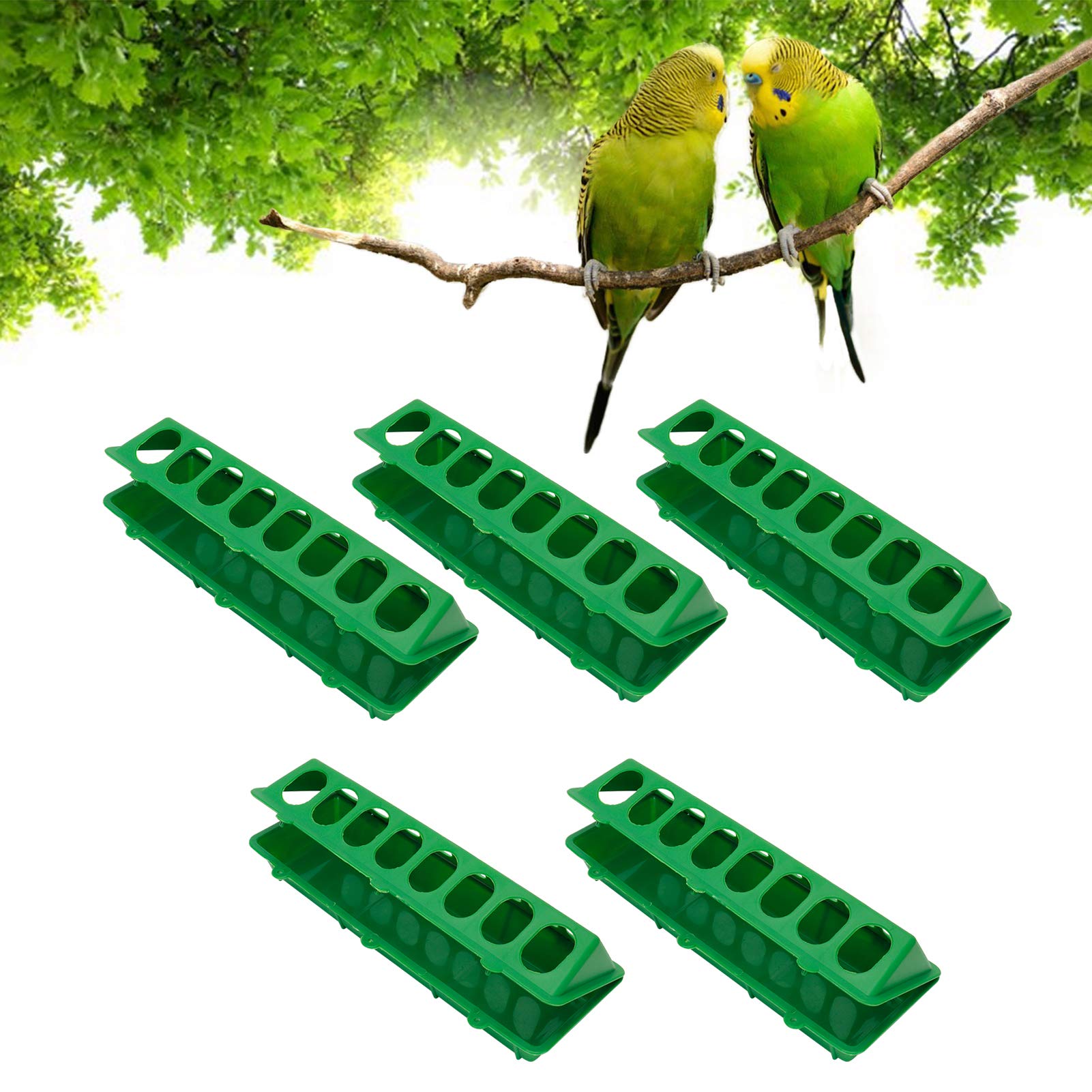 Premium Bird Food Box - Hanging Feeder for Parrots & Birds | Durable Green Birdcage Supply (300x125x80mm) | Easy Clean & Convenient | Perfect for Cages, Aviaries & Outdoor Use