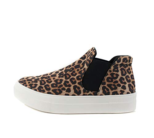 Oat Cheetah