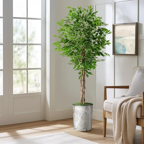 Modern Planter - 24013102