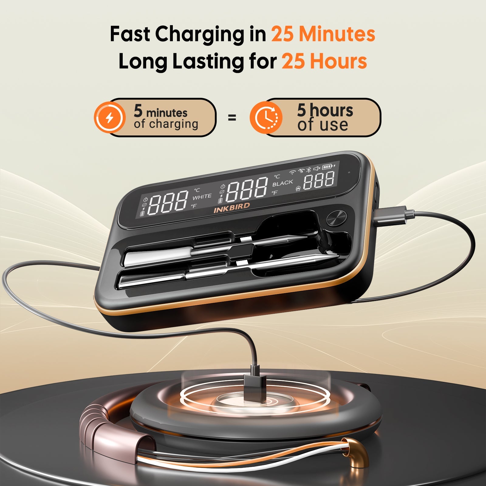 Wireless Meat Thermometer with WiFi & Bluetooth - Digital Cooking Thermometer for Grilling, Smoking, BBQ - INT 12 BW - Perfect for Indoor & Outdoor Cooking