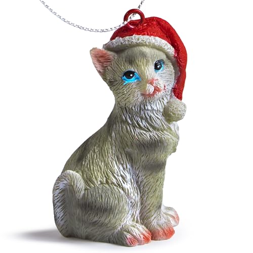 Gray Tabby