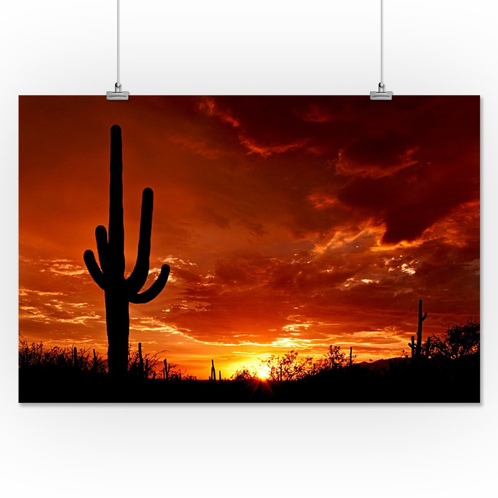 Red Sunset and Cactus Giclee Art Print - 16x24 Wall Decor Travel Poster for Southwest Home & Office Decor | Desert Landscape Photography Gift