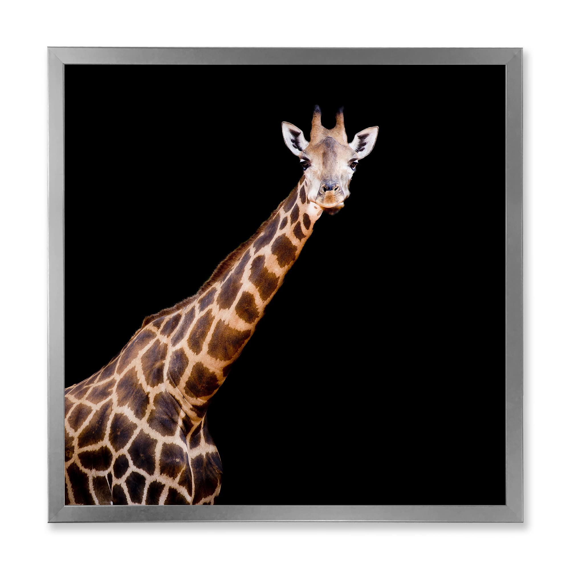 DesignQ Giraffe Portrait VII - Farmhouse Framed Wall Art Decor for Living Room, Bedroom & Office
