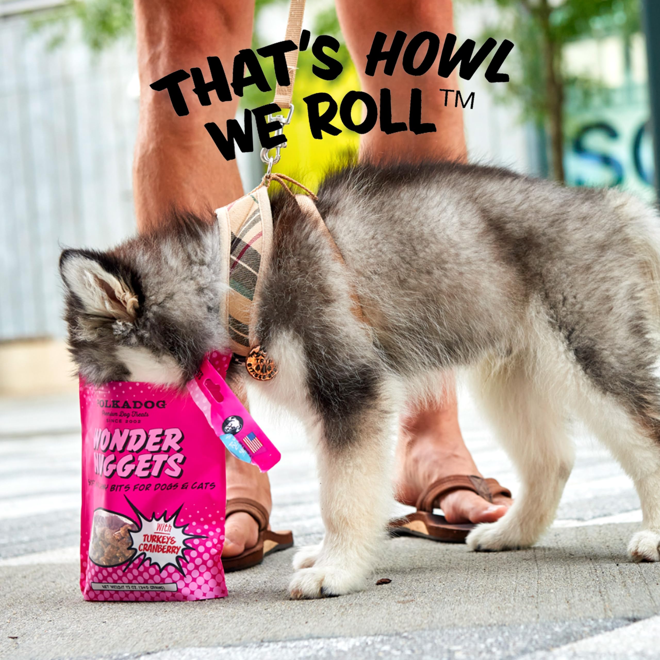 Polkadog All-Natural Turkey & Cranberry Wonder Nuggets Dog Treats – Healthy, Handmade Soft & Chewy Training Snacks for Puppies & Adult Dogs – Grain-Free Bite-Sized Pet Rewards – Perfect for Obedience Training, Travel & Daily Treats – 10 oz