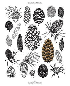 20 Creative Ways to Draw a Tree - Step-by-Step Drawing Guide for Beginners & Artists | Perfect for Sketching, Art Projects & Nature Illustration