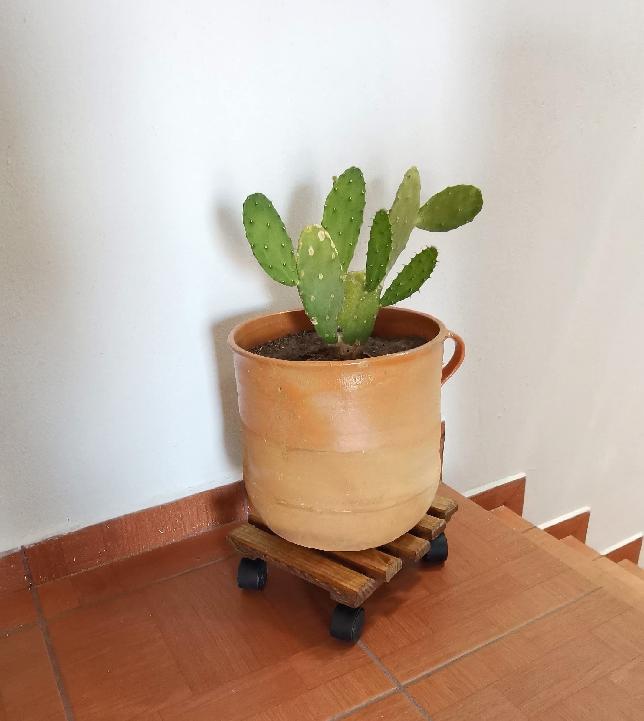 Handmade Wood Plant Stand with Caster Wheels - 12 Inch Square Plant Caddy & Pot Roller Base for Indoor/Outdoor Plants - Perfect for Living Room, Patio, Garden Decor