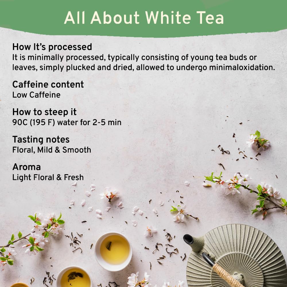 Premium Organic White Tea Bags - 100 Count | USDA Certified, 100% Pure & Natural | Mild Flavor, Smooth Taste | Eco-Friendly Packaging | Perfect for Relaxation, Detox & Daily Wellness