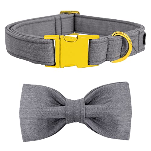 suit-grey