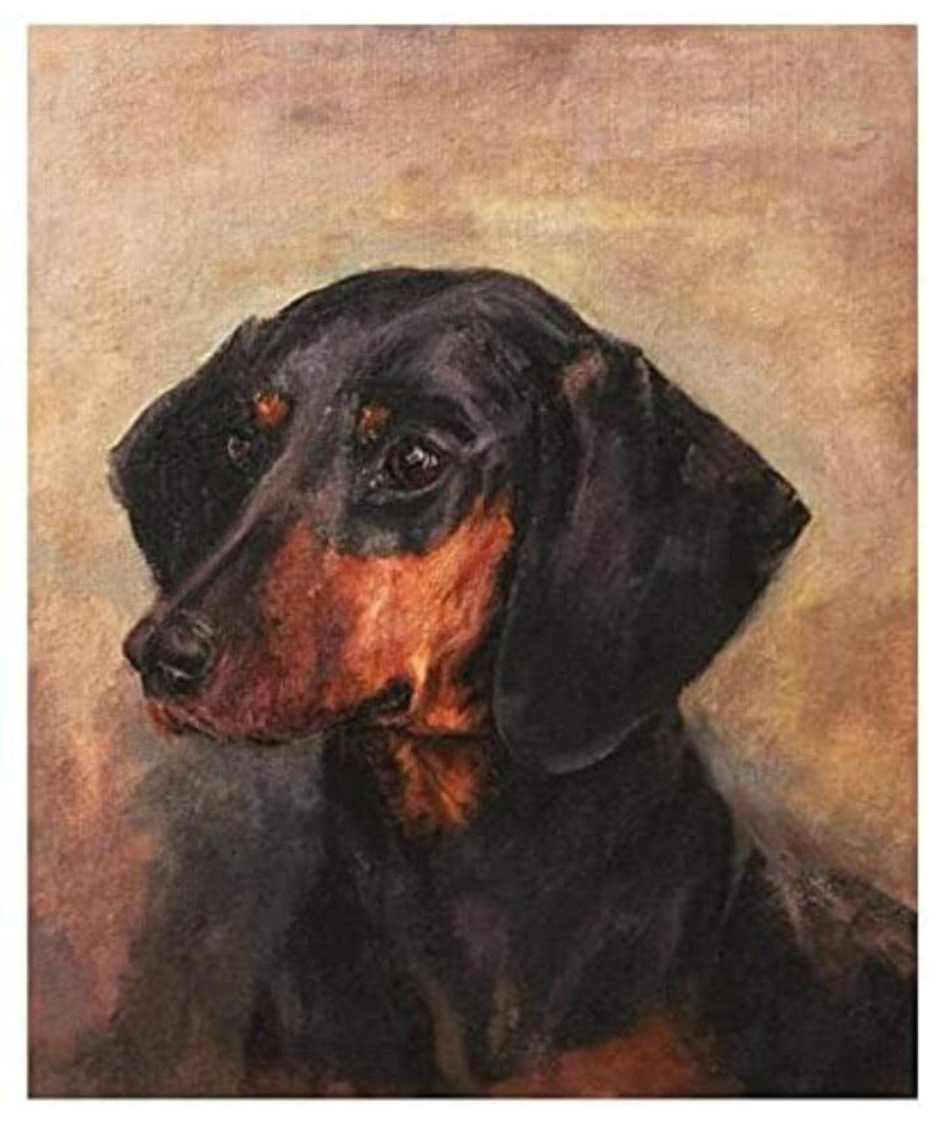 Dachshund Dog Paint by Numbers Kit for Adults & Kids - DIY Oil Painting Art Set with Canvas, Brushes & Guide - Perfect for Home Decor, Gift Giving & Relaxation Therapy