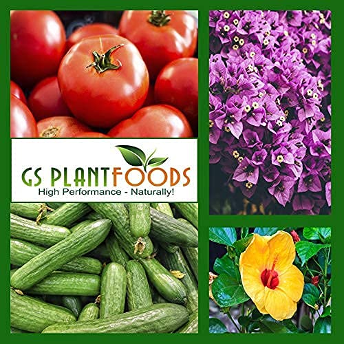 GS Plant Foods Super Concentrated Vitamin Solution - All Purpose Liquid Plant Nutrition with Vitamins & Hormones for Plants, Trees, Turf (8oz) | Indoor Gardening, Lawn Care, Hydroponics & Organic Farming
