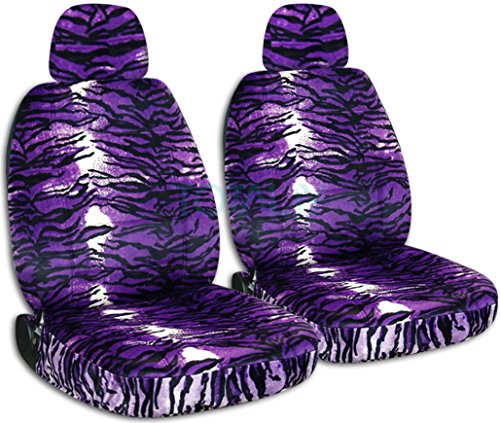 Purple Snow Tiger