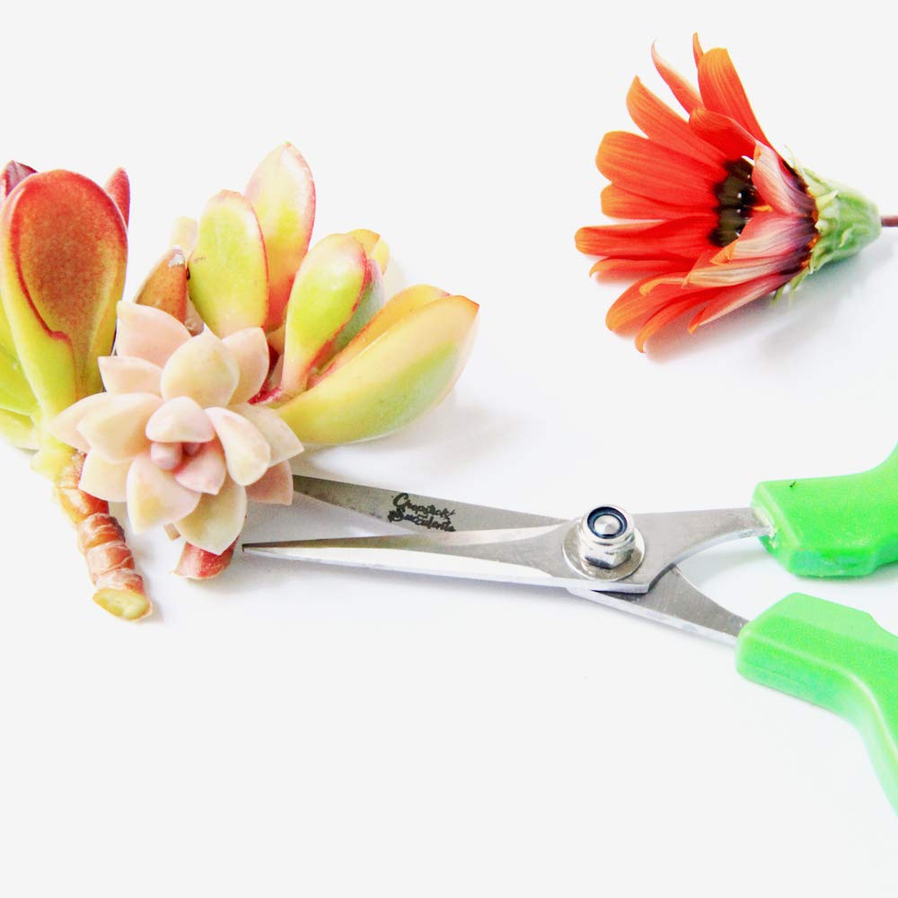Premium Gardening Scissors for Succulents - Sharp Pruning Shears for Trimming, Cutting & Shaping Plants - Perfect for Indoor Succulent Care, Bonsai Maintenance & Floral Arrangements